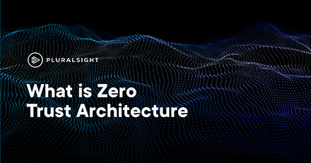 Zero Rely on Strategy: What is Zero Have confidence in Architecture?