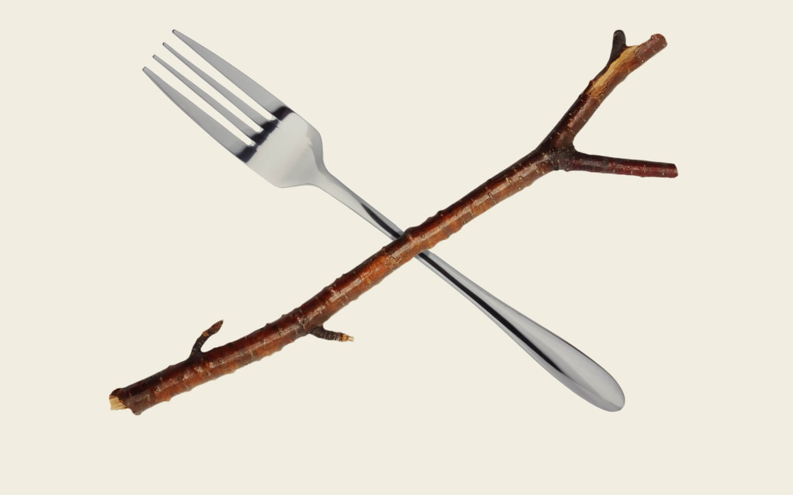 The Definitive Guide to Forks and Branches in Git